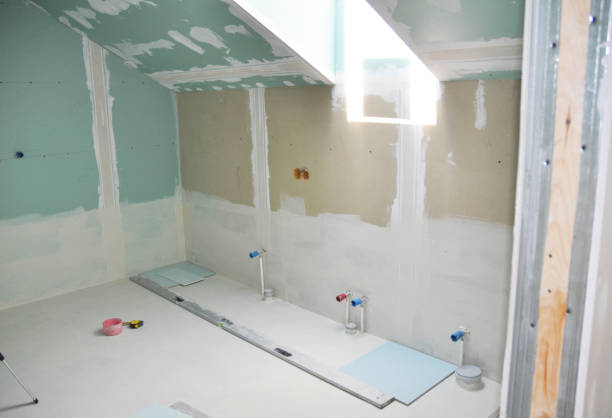 Best Mold Removal for HVAC Installations  in Spring Creek, NV