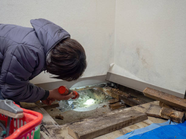 Mold Remediation for Rental Properties in Spring Creek, NV