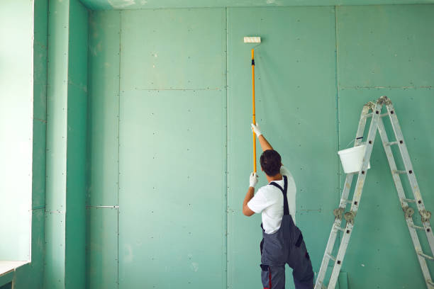 Best Mold Documentation for Insurance Claims  in Spring Creek, NV