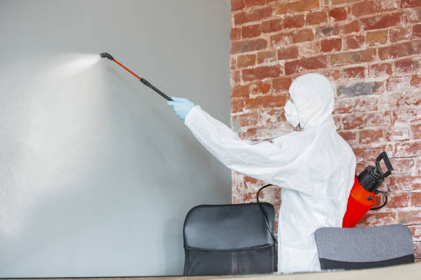 Best Residential Mold Inspection & Testing  in Spring Creek, NV
