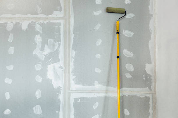 Mold Remediation for Vacation Homes in Spring Creek, NV