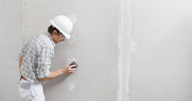 Best Industrial Mold Remediation  in Spring Creek, NV