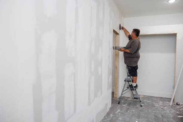 Best Airborne Mold Testing  in Spring Creek, NV