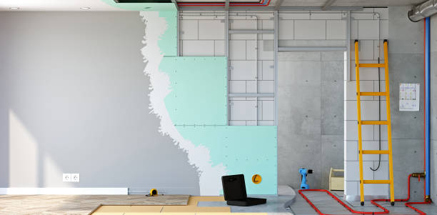 Best Biohazard Mold Removal  in Spring Creek, NV