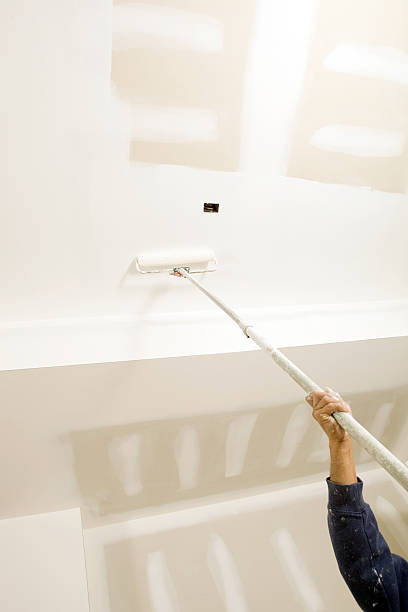 Best Water Damage & Mold Remediation  in Spring Creek, NV