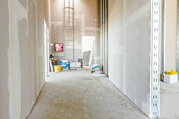 Best Asbestos and Lead Testing During Mold Inspection  in Spring Creek, NV