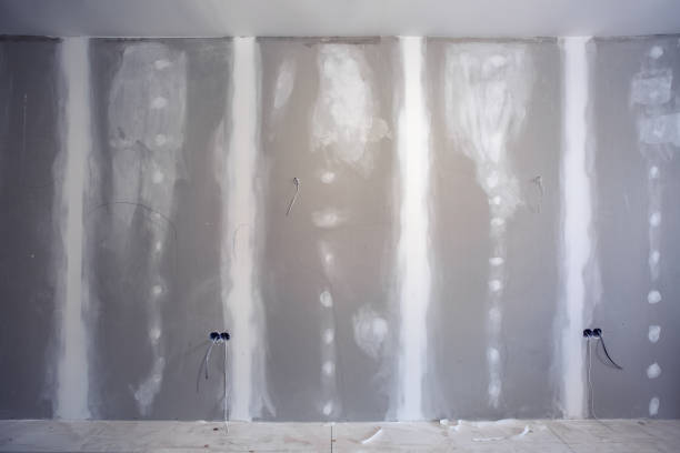 Trusted Spring Creek, NV Mold Removal Experts