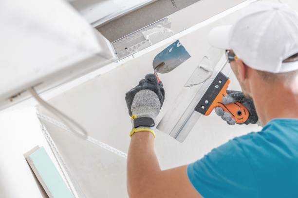 Best Real Estate Mold Inspection  in Spring Creek, NV